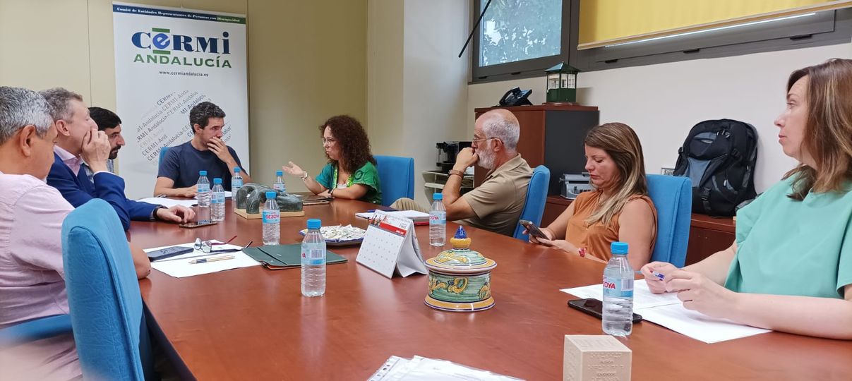 Reuniones estratégicas junto a CERMI Andalucía