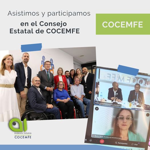 Participamos en el Consejo Estatal de COCEMFE