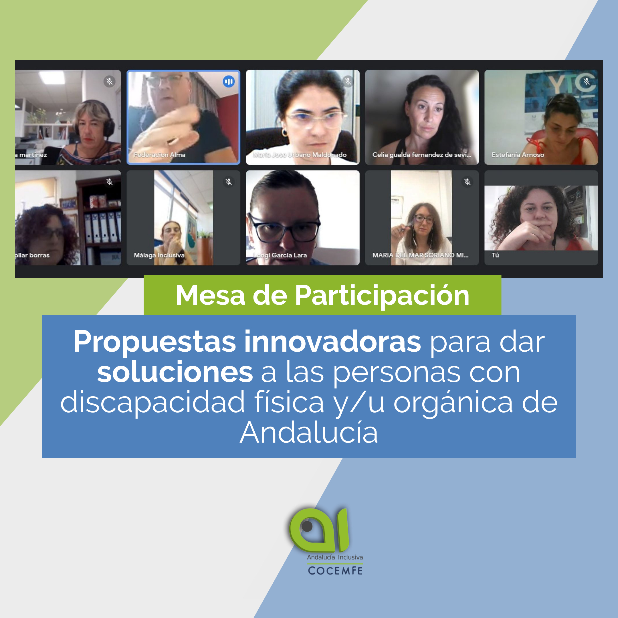 Mesa de Participación Andalucía Inclusiva COCEMFE