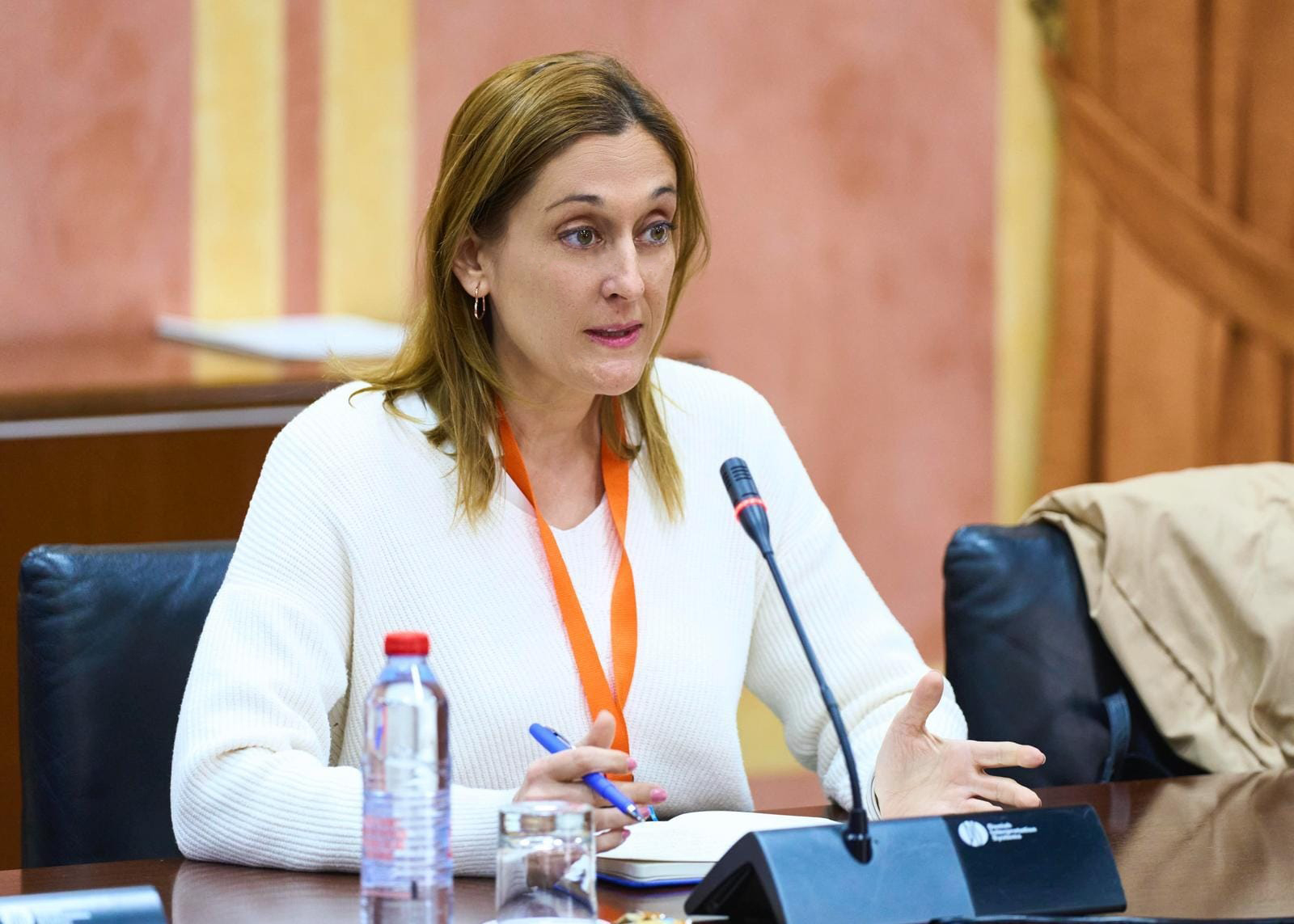 Rocío Pérez Gómez compareció en el Grupo de Trabajo relativo a la lucha contra la violencia de género en Andalucía