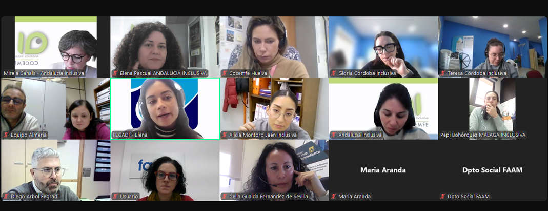 Coordinar el trabajo de inicio y puesta en marcha de las actuaciones en los programas OVI y YTC.Red