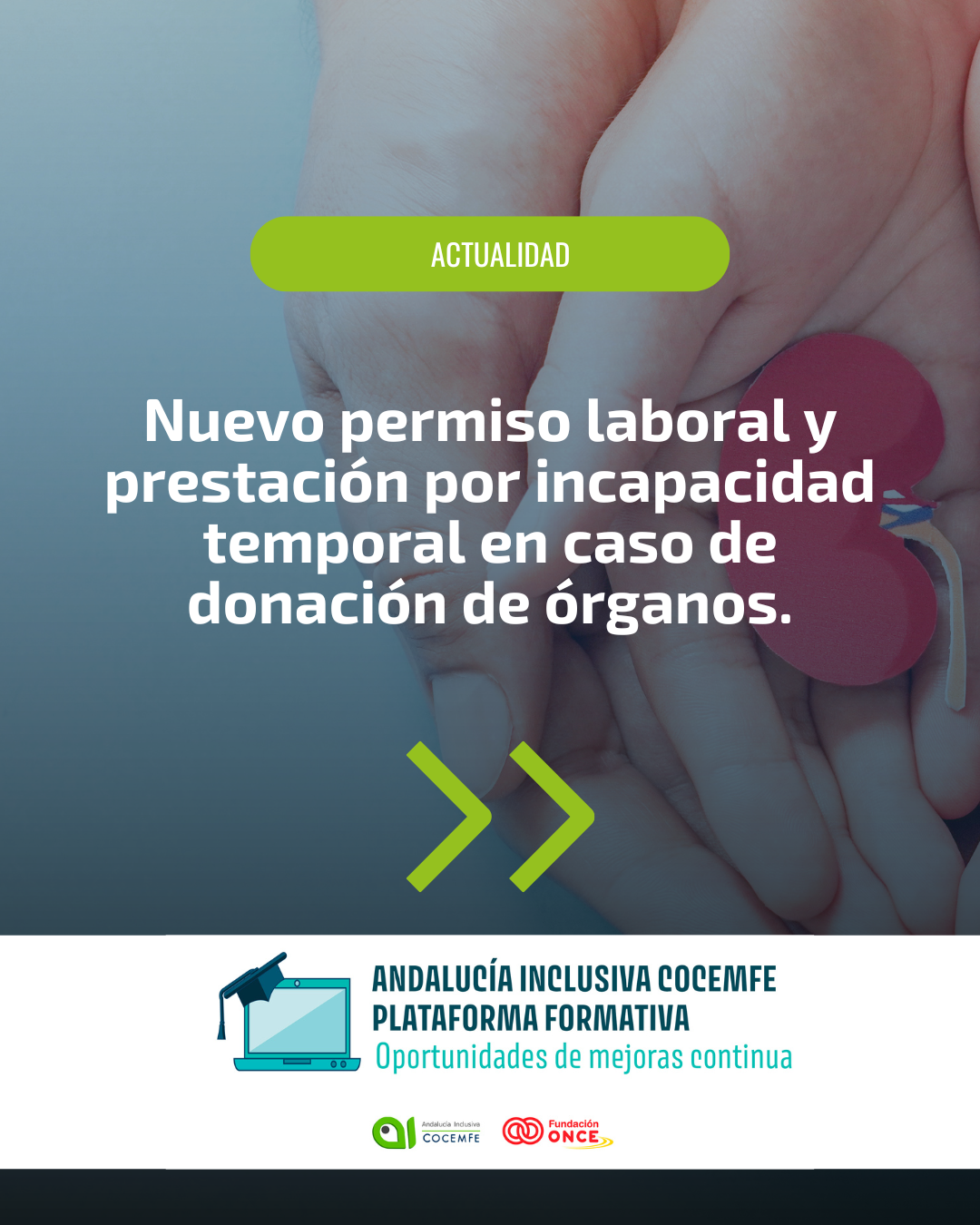 Nuevo permiso laboral y prestación por incapacidad temporal en caso de donación de órganos.
